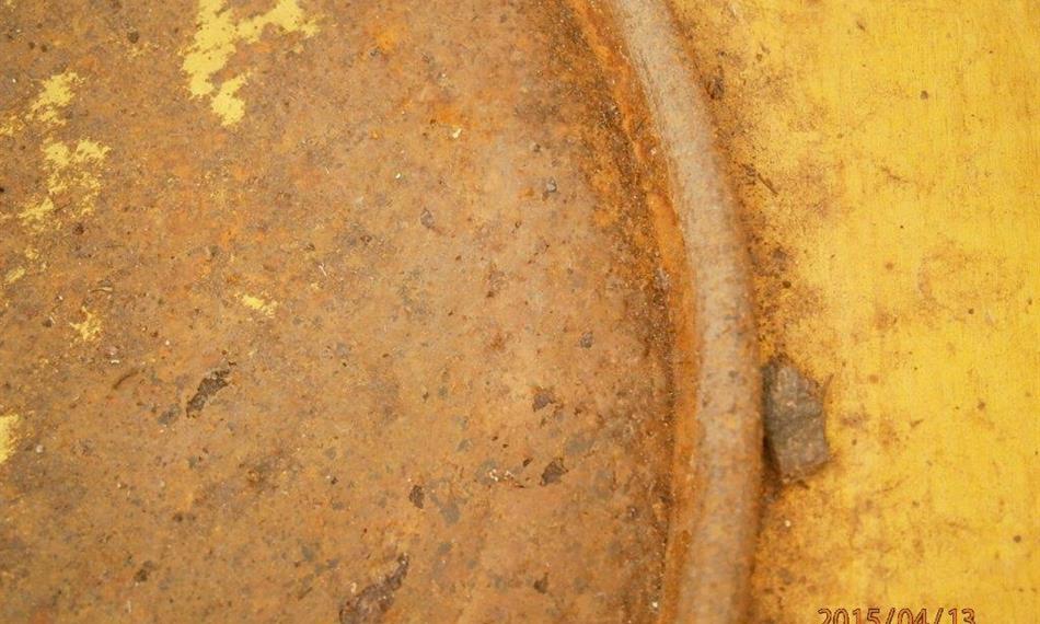 2015-4-20-1153Hostivař - bambus.jpg